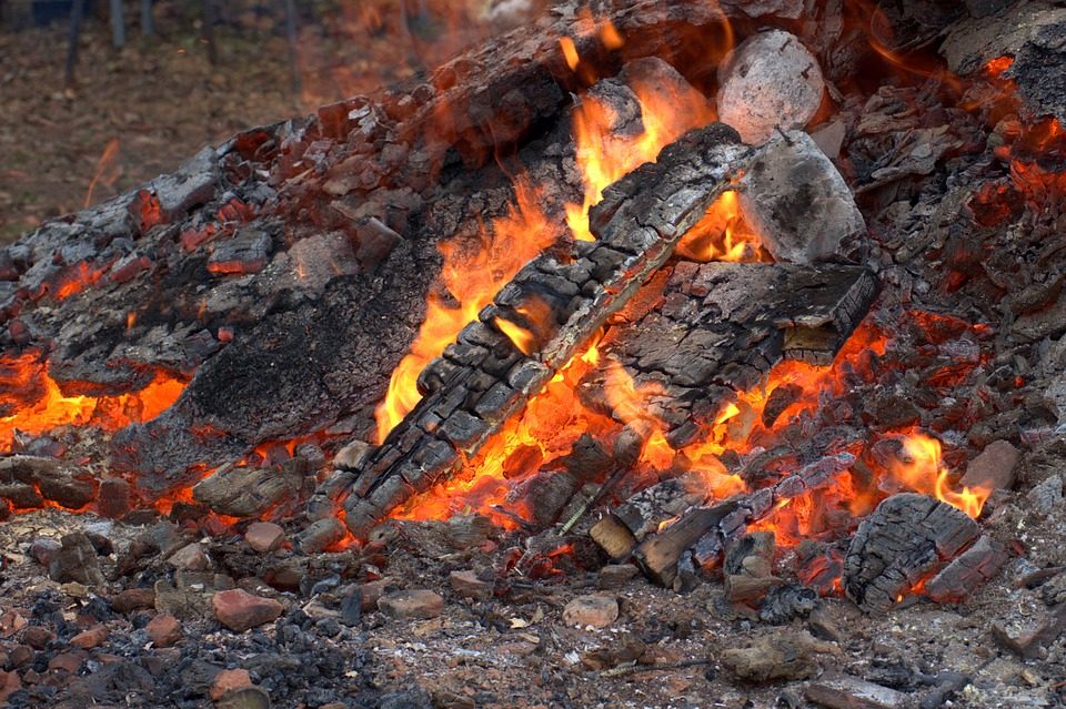 cendres feu bois